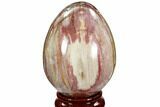Colorful, Polished Petrified Wood Egg - Triassic #107387-1